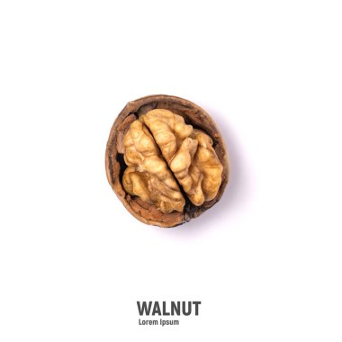 Beyaz arka planda izole edilmiş cevizler. Ceviz çekirdeği ve ceviz.