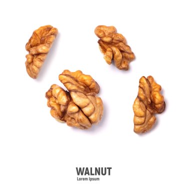 Beyaz arka planda izole edilmiş cevizler. Ceviz çekirdeği ve ceviz.