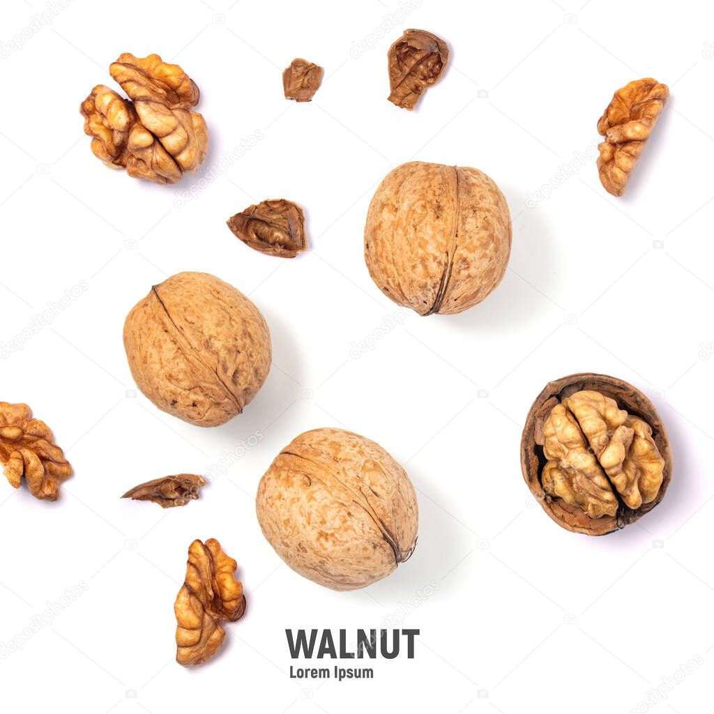 Walnuts isolated on white background. Walnut kernels and whole walnuts