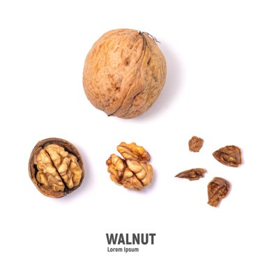 Beyaz arka planda izole edilmiş cevizler. Ceviz çekirdeği ve ceviz.