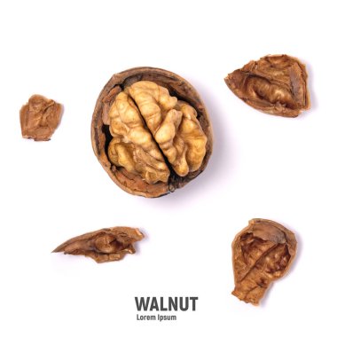 Beyaz arka planda izole edilmiş cevizler. Ceviz çekirdeği ve ceviz.