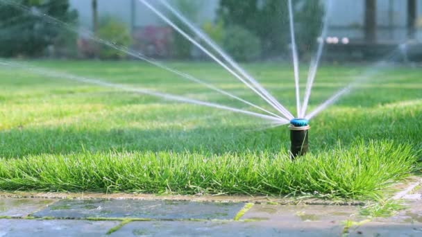 Grass irrigation. Garden Irrigation sprinkler watering lawn. — Stock Video