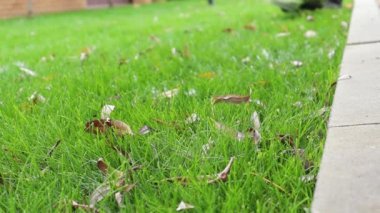 Çim biçme makinesiyle ot buduyorum. Makineyle çim biçme.