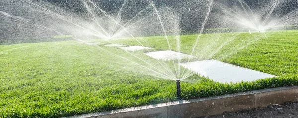 Garden irrigation system lawn. Automatic lawn sprinkler watering green grass. Selective focus. — Stock Photo, Image