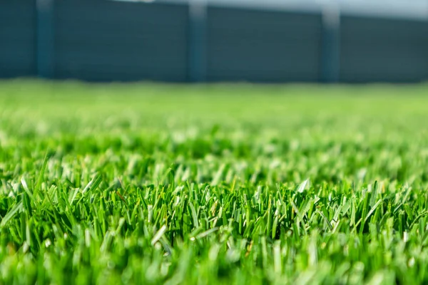 Zblízka zelený trávník za slunečného dne. Selektivní zaměření. — Stock fotografie