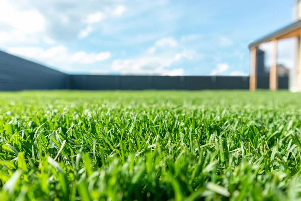 Close up of green lawn on a sunny day. Blue sky on the background. Selective focus — Stock Photo, Image