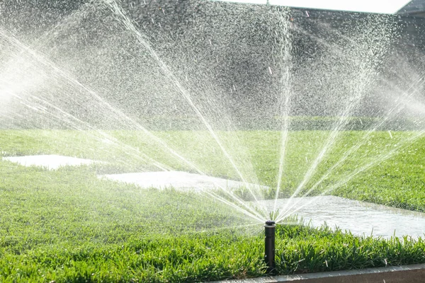 Garden irrigation system lawn. Automatic lawn sprinkler watering green grass. Selective focus.