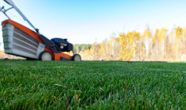 Autumn season, lawn mowing in the garden.