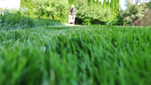 Man klipper gräsmattan med gräsklippare på sommaren. Man skär grönt gräs i trädgården på suddig bakgrund. — Stockvideo
