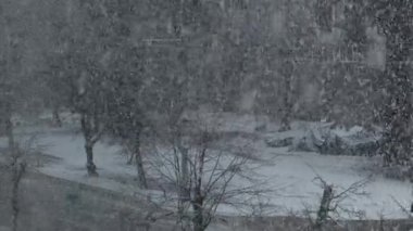 Şehir caddesini arabalar ve çıplak ağaçlarla kaplayan şiddetli kar yağışı. Görüş mesafesi düşük kar fırtınası, yoğun düşen kar taneleri ve fırtınanın içinden geçen araçlar..