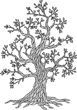 Vektör Doodle ağaç