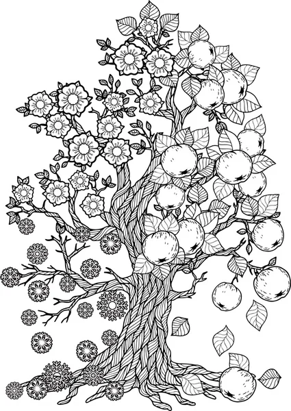 Livre à colorier Saisons des arbres . — Image vectorielle