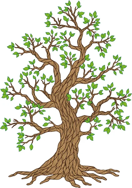 Árvore de maçã vetorial. Coleção de árvores. Época das árvores — Vetor de Stock