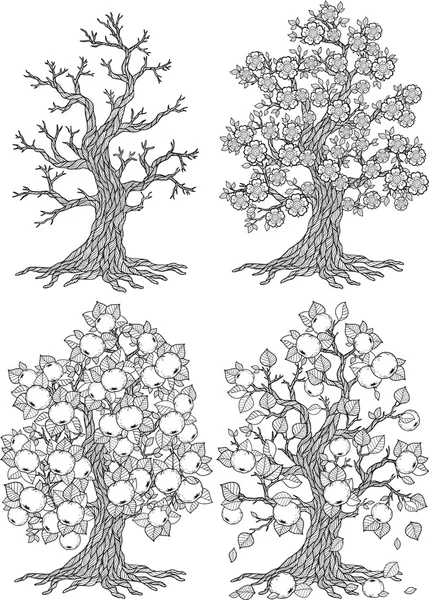 Vector-appelboom. Boom seizoen. Herfst, winter, zomer, lente — Stockvector