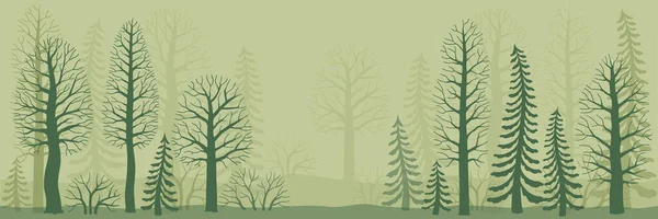 神秘的森林 在白色背景上孤立的矢量轮廓树 云杉和灌木 没有叶子的枝条 森林设计要素 — 图库矢量图片
