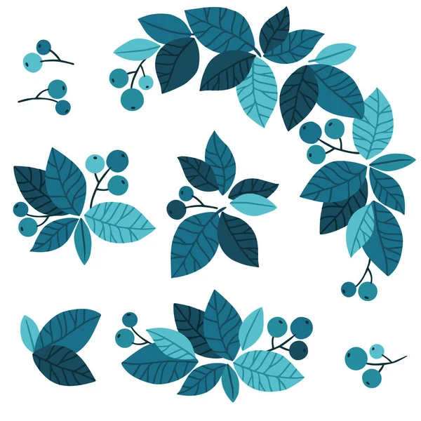 蓝色趋势叶和浆果在白色背景上分离元素，用于设计模板。供海报、卡片或背景用的手绘矢量插图 — 图库矢量图片