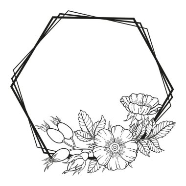 Köpek gülü çiçekleri, dallar ve yaprakların sınırları. Vektör beyaz arkaplanda izole edildi. Yetişkinler için boyama kitabı, kozmetik, ilaç, çay, düğün davetiyesi ve kartlarının ambalaj tasarımı için unsurlar