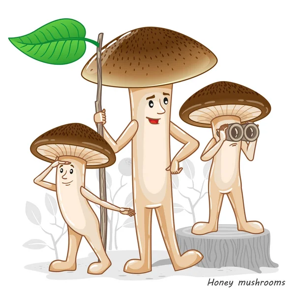 벡터 머쉬룸은 흰색으로 분리되어 있다. 만화 스타일의 재밌는 캐릭터 디자인. 먹을 수있는 버섯 샴페인. 어린이용 옷인 쇄 — 스톡 벡터