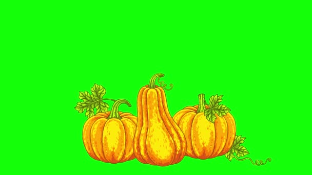ハロウィーンのアニメーションの背景 クロムキー 緑の画面上に隔離された恐ろしい笑顔カボチャジャックOランタン — ストック動画