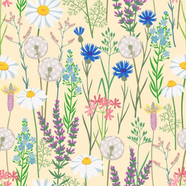 Hafif krem arka planda kusursuz narin kır çiçeği deseni, papatyalarla yumuşak botanik çizimi karahindiba otları ve tekstil tasarımı için tarla çiçekleri..