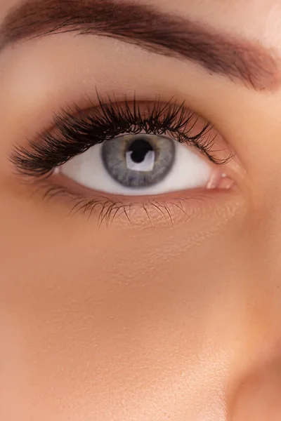 Eyelash Extension Procedure (engelsk). Nært syn på vakre, kvinnelige øyne med lange øyevipper, glatt, frisk hud. – stockfoto