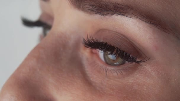 Szempilla-hosszabbítási eljárás. Közelről kilátás gyönyörű női szem hosszú szempillák. — Stock videók