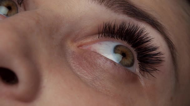 Procédure d'extension des cils. Vue rapprochée d'un bel œil féminin avec de longs cils. — Video