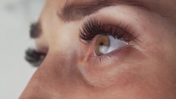 Verlengingsprocedure voor wimpers. Close-up zicht op mooi vrouwelijk oog met lange wimpers. — Stockvideo