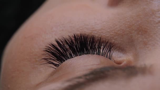 Eyelash Extension Procedure. Close up view of beautiful female eye with long eyelashes. — Stock Video