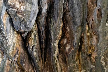 Koyu, dikey biçimde oyulmuş ve mineral lekeli kireç taşı yüzeyli dokunun yakın plan ayrıntıları