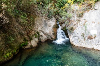 Küçük, tenha Şelale Şelalesi, Rocky Duvarları ve Aşırı Büyümüş Yapraklarla çevrili Derin Zümrüt ve Turkuaz Doğal Havuz