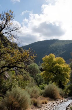 Ağaçlar ve dağlarla dolu güzel sonbahar manzarası