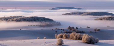 Karla kaplı ağaçlarla kaplı güzel kış manzarası