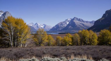 Yeni Zelanda güzel manzara