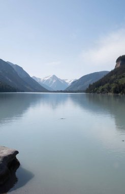 Güzel göl manzarası