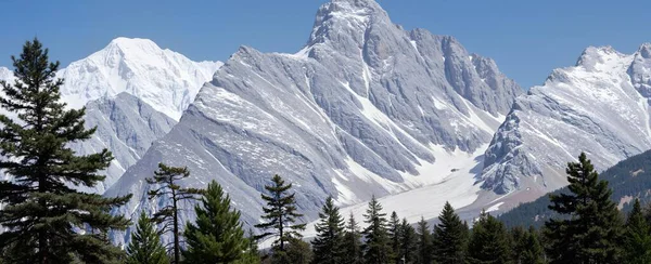 Doğanın güzel manzarası
