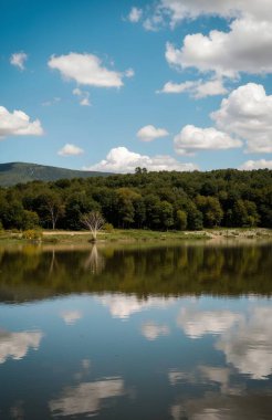 Göl ve dağlarla dolu güzel bir manzara.