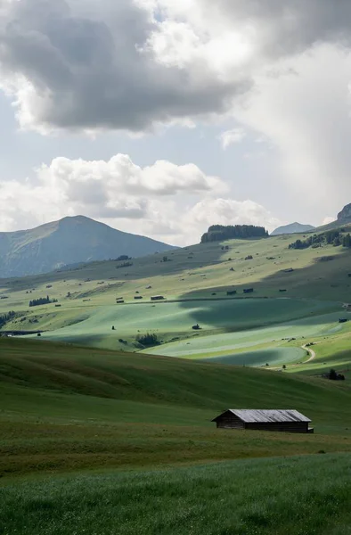 Yazın dağlarda manzara