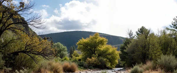 Gündüz vakti açık mavi gökyüzünün altında dağlarla çevrili bir ormanın güzel bir görüntüsü.