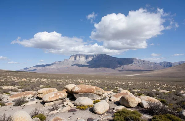 Arka planda mavi gökyüzü ve dağları olan bir manzara.