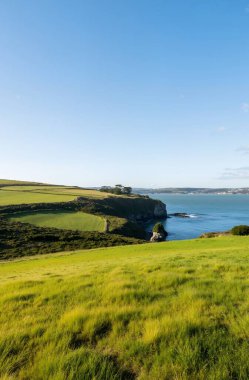 Gökyüzünün arka planında yeşil çimlerin ve okyanusun güzel manzarası.