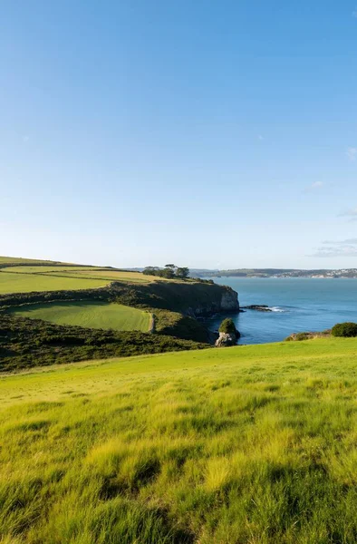 Gökyüzünün arka planında yeşil çimlerin ve okyanusun güzel manzarası.