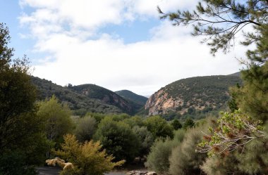 Dağların güzel manzarası