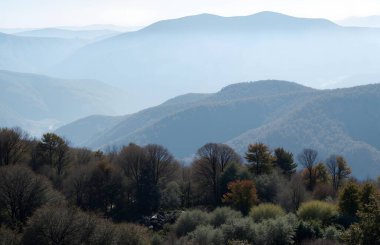 Dağlarda sonbahar manzarası
