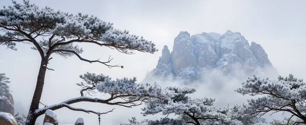 Dağların güzel manzarası