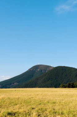 Yaz manzarası, yeşil çimenler ve mavi gökyüzü