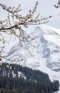 a beautiful shot of the snow - capped mountains in the winter