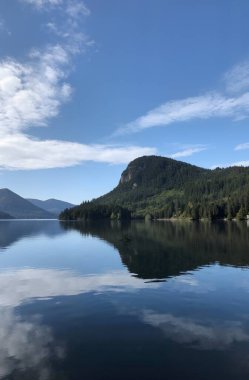 Göllü güzel bir manzara.