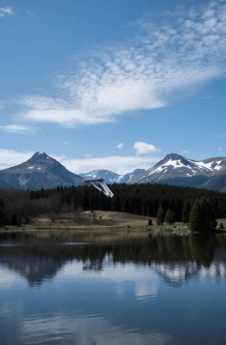 a vertical shot of the rocky mountain surrounded by trees under the clear blue skies