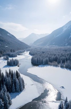 Güzel kış manzarası karla kaplı ağaçlar